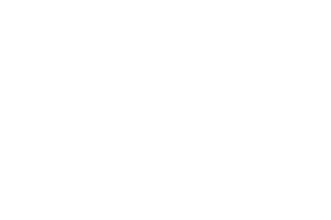 NextPhaseBuilds_logo_white_full